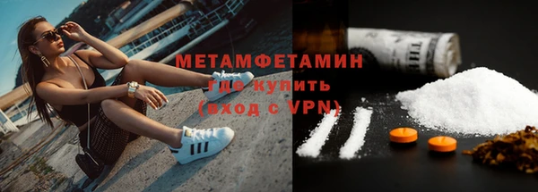 прущие грибы Корсаков