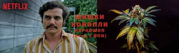 молекула духа Костерёво