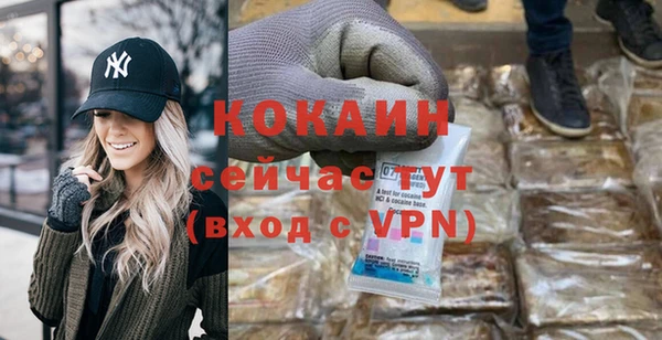 прущие грибы Корсаков