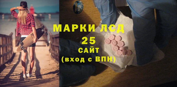 прущие грибы Корсаков