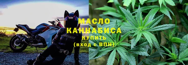 прущие грибы Корсаков