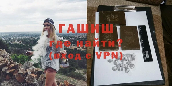прущие грибы Корсаков