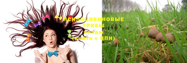 круглые Дмитриев